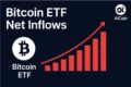 比特币ETF净流入数据图，展示机构资金进入加密市场的趋势
